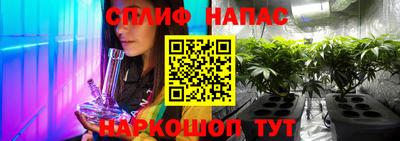 прущие грибы Апрелевка
