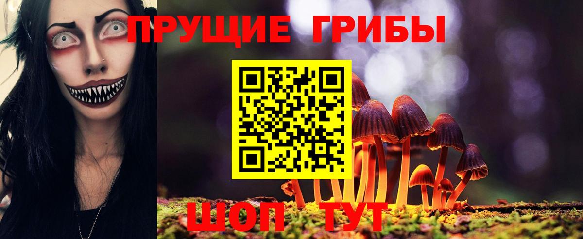 Апшеронск  Галлюциногенные грибы Psilocybe  Вход с VPN  купить наркотик  Галлюциногенные грибы мицелий 
