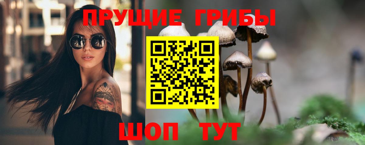 Галлюциногенные грибы Cubensis Апшеронск